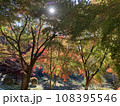 色鮮やかな山里の紅葉 108395546