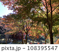 色鮮やかな山里の紅葉 108395547