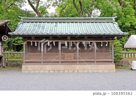 三嶋大社(三島) 三嶋大社(三島) 108395562