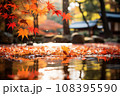 水面に浮かぶ紅葉 108395590