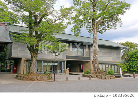 三嶋大社(三島) 三嶋大社(三島) 108395626