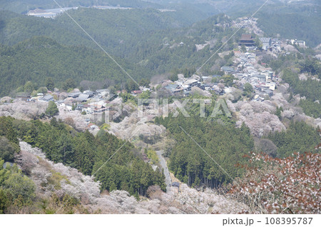 満開の桜　吉野山にて(奈良県吉野町) 108395787