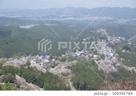 満開の桜　吉野山にて(奈良県吉野町) 108395788