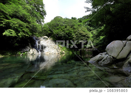 Beautiful scenery of Hallasan Valley, a famous tourist attraction on Jeju Island, South Korea. 108395803