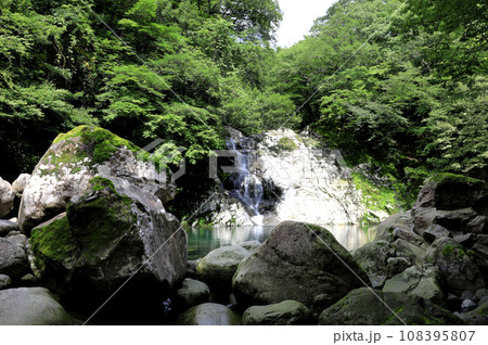 Beautiful scenery of Hallasan Valley, a famous tourist attraction on Jeju Island, South Korea. 108395807