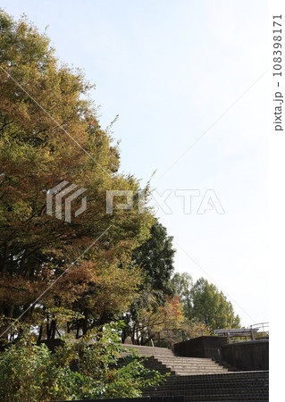 さいたま市北区の市民の森見沼グリーンセンターの風景 108398171