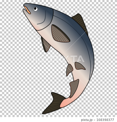流行可愛的鮭魚插畫 108398377