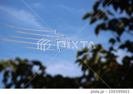 木々の間から見えるブルーインパルス 木々の間から見えるブルーインパルス 108399881