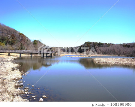 早春の21世紀の森と広場の千駄堀池と林風景 108399900
