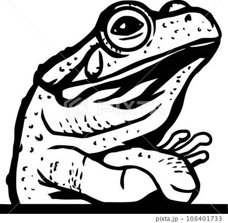 Peeking Frog - Funny Frog peeking out - face head isolated on white 108401733