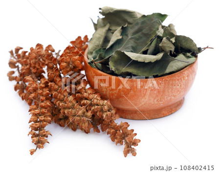 Dry holy basil or tulsi leaves with flower 108402415