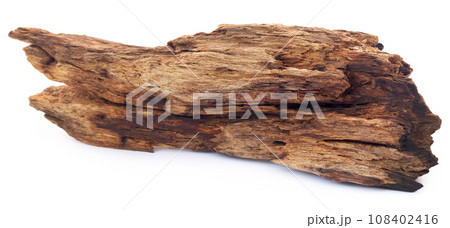 Natual driftwood 108402416