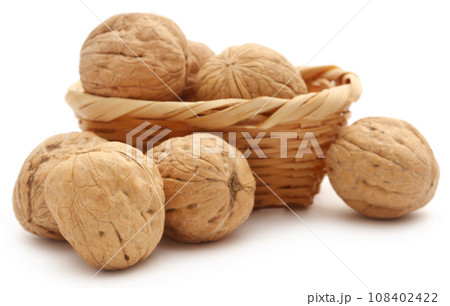 Walnut 108402422
