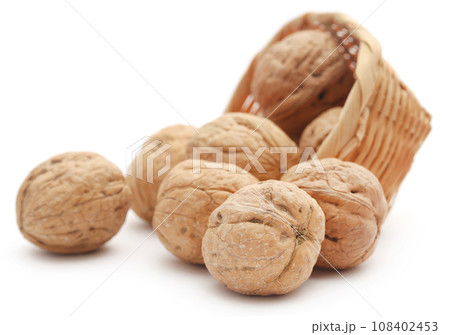Walnut 108402453