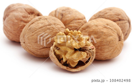 Walnut Walnut 108402498
