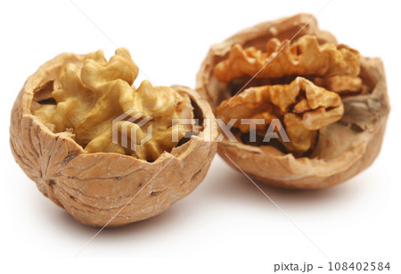 Walnut isolated Walnut isolated 108402584