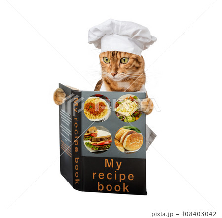 Cat chef with a cookbook on a transparent background. 108403042