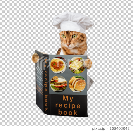 Cat chef with a cookbook on a transparent background. Cat chef with a cookbook on a transparent background. 108403042