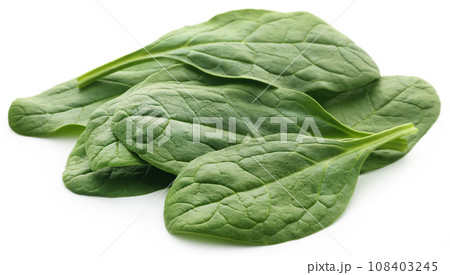 Fresh Spinach 108403245
