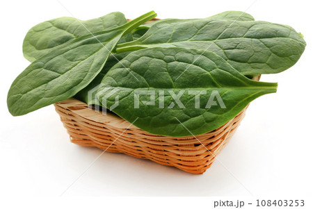 Fresh Spinach Fresh Spinach 108403253