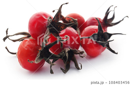 Beach rose 108403456