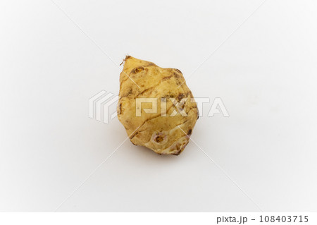 丸いキクイモ 108403715