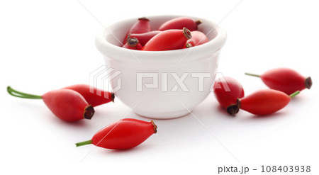 Rose hips Rose hips 108403938