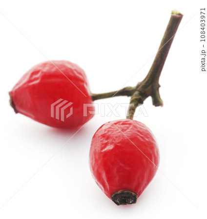 Rose hips Rose hips 108403971