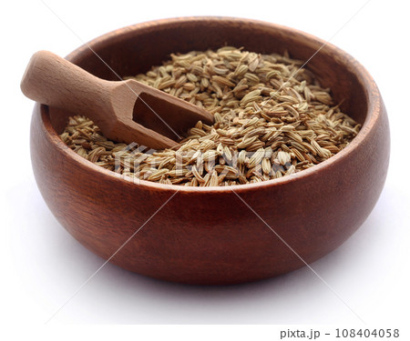 Fennel seeds Fennel seeds 108404058