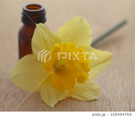 Flower daffodil with essential oil Flower daffodil with essential oil 108404768