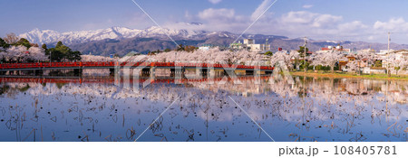 《新潟県》桜満開・春の高田城址公園 《新潟県》桜満開・春の高田城址公園 108405781