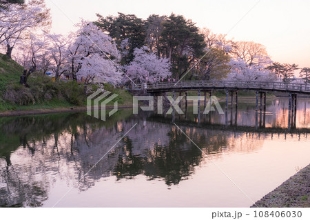 《新潟県》桜満開・春の高田城址公園 108406030