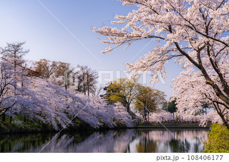 《新潟県》桜満開・春の高田城址公園 108406177