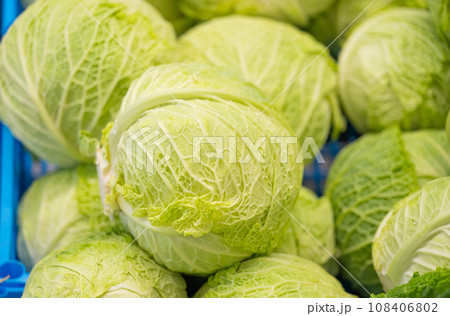 background of vegetables cabbage 108406802