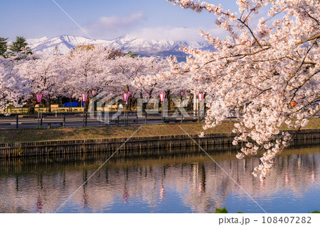 《新潟県》桜満開・春の高田城址公園 108407282