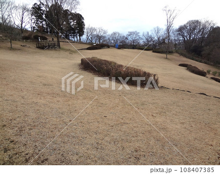 七沢森林公園 108407385
