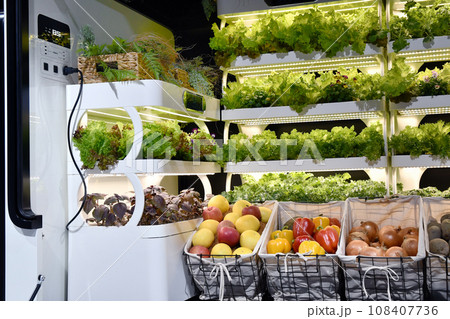 光栽培の野菜工場 光栽培の野菜工場 108407736