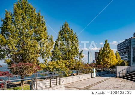 琵琶湖畔の公園 なぎさ公園 大津市 琵琶湖畔の公園 なぎさ公園 大津市 108408359