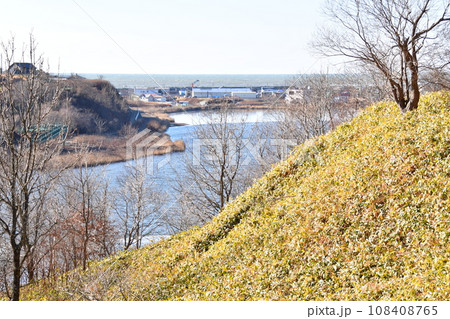 春採公園 野草園から春採湖 釧路港 春採公園 野草園から春採湖 釧路港 108408765