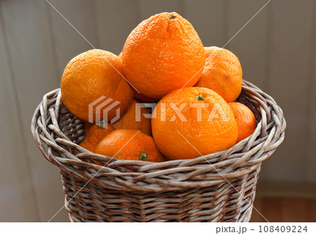 Homemade Woven Pot Full Of Ripe Orange Tangerine Fruits Side View Detailed Stock Photo Homemade Woven Pot Full Of Ripe Orange Tangerine Fruits Side View Detailed Stock Photo 108409224