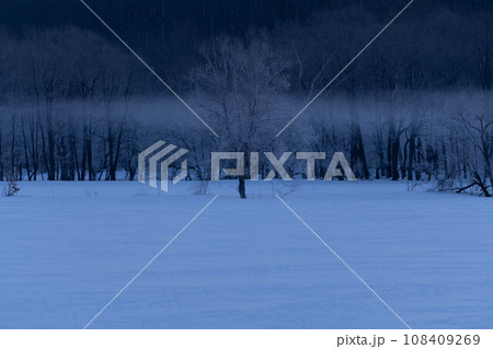 樹氷 樹氷 108409269