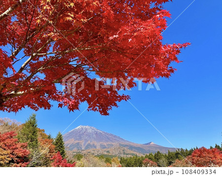 紅葉と富士山 108409334