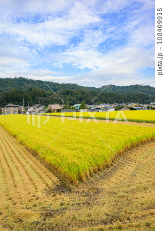 実りの秋、そして収穫【長野県】 108409918