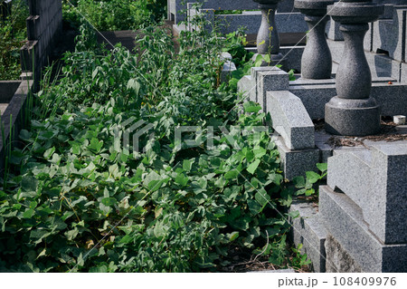 雑草だらけの墓地 雑草だらけの墓地 108409976