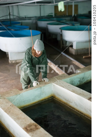 Woman near fish tank on sturgeon farm 108410205