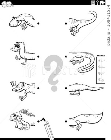 match halves of animals pictures activity coloring page 108411534