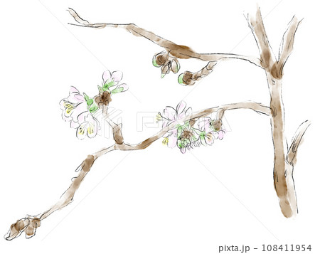 桜の水彩イラスト 108411954