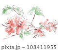 つつじの水彩イラスト 108411955