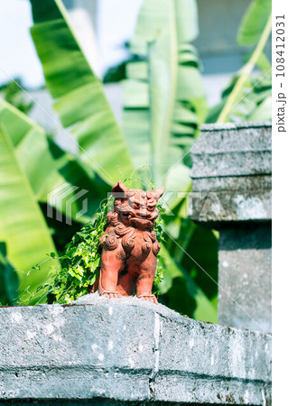 草のマントをはおるシーサー 草のマントをはおるシーサー 108412031