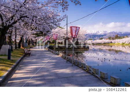 《新潟県》桜満開・春の高田城址公園 《新潟県》桜満開・春の高田城址公園 108412261